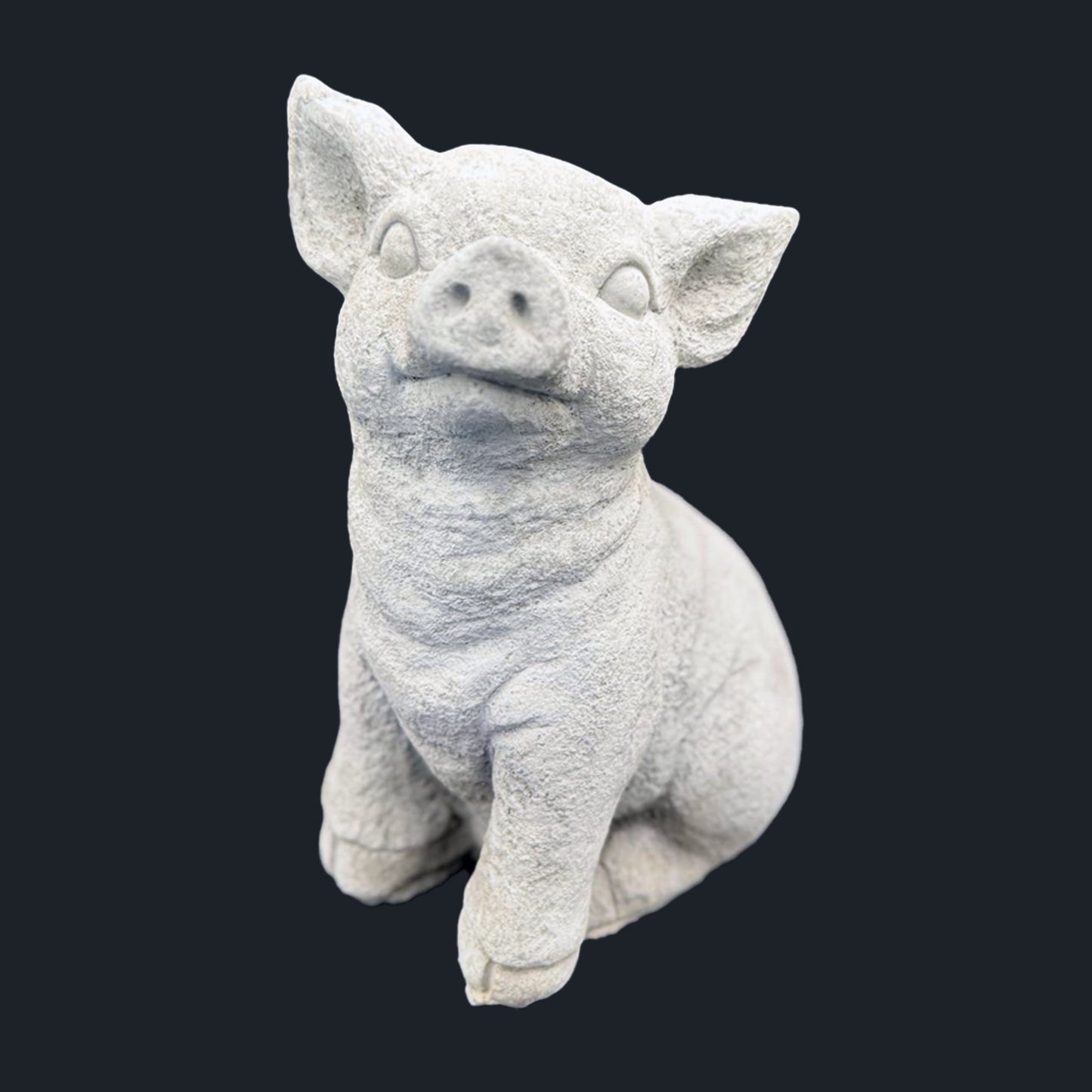 Pig