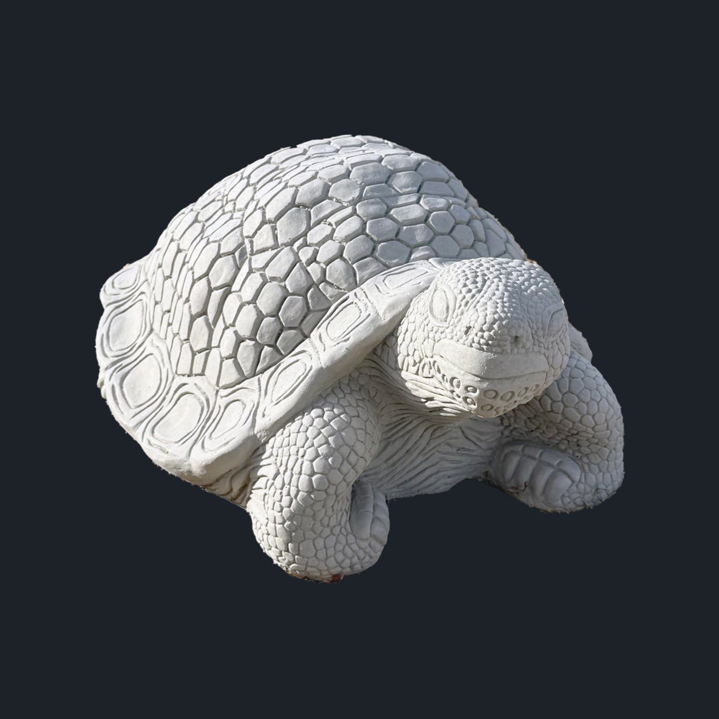 Turtle - XL